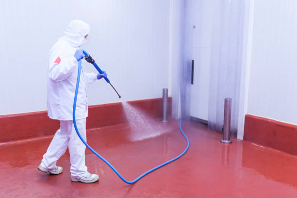 Reliable Holt, AL  Pressure Washing Services Solutions