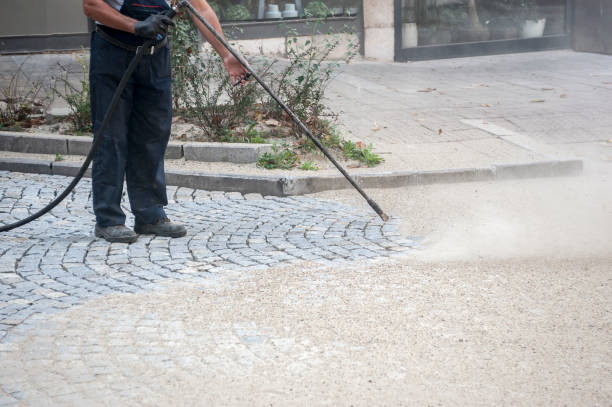 Best Concrete Sealing  in Holt, AL
